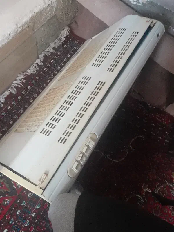 هود|هود|میاندوآب, |دیوار