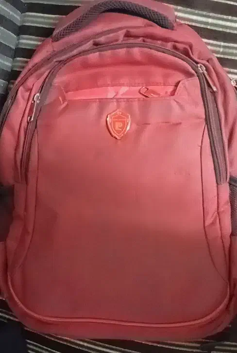 کیف|کیف، کفش، کمربند|اهواز, فاز ۱ پادادشهر|دیوار