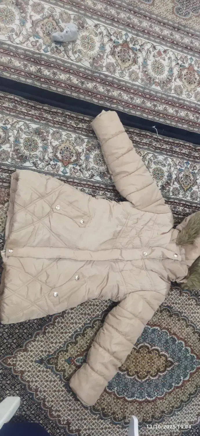 کاپشن دخترانه|لباس|قائن, |دیوار