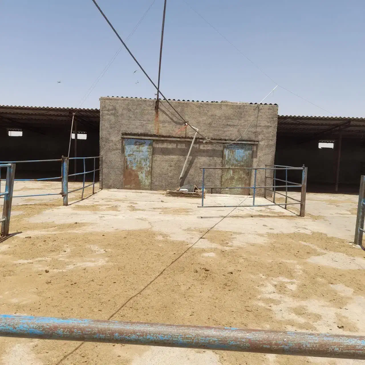 گاوداری صنعتی، نرسیده به پارک جنگلی قوژد|اجارهٔ دفتر صنعتی، کشاورزی، تجاری|گناباد, |دیوار