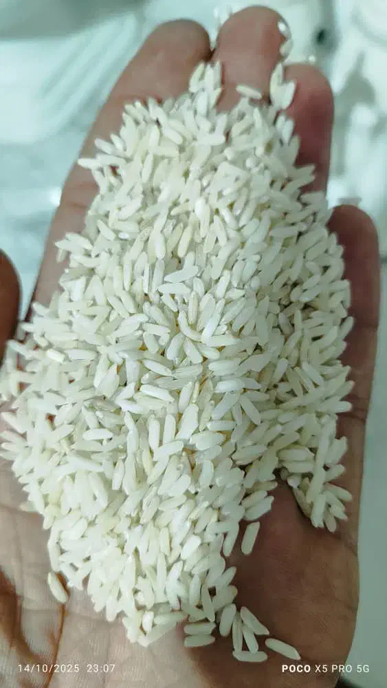 برنج ساعی|خوردنی و آشامیدنی|شیراز, حومه شیراز|دیوار