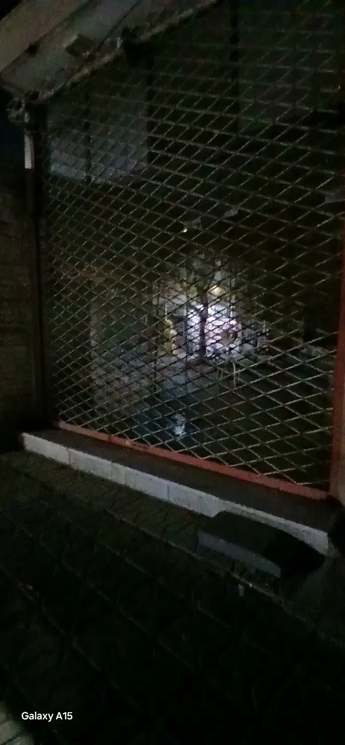 مغازه رهن و اجاره|اجارهٔ مغازه و غرفه|شیروان (خراسان), |دیوار