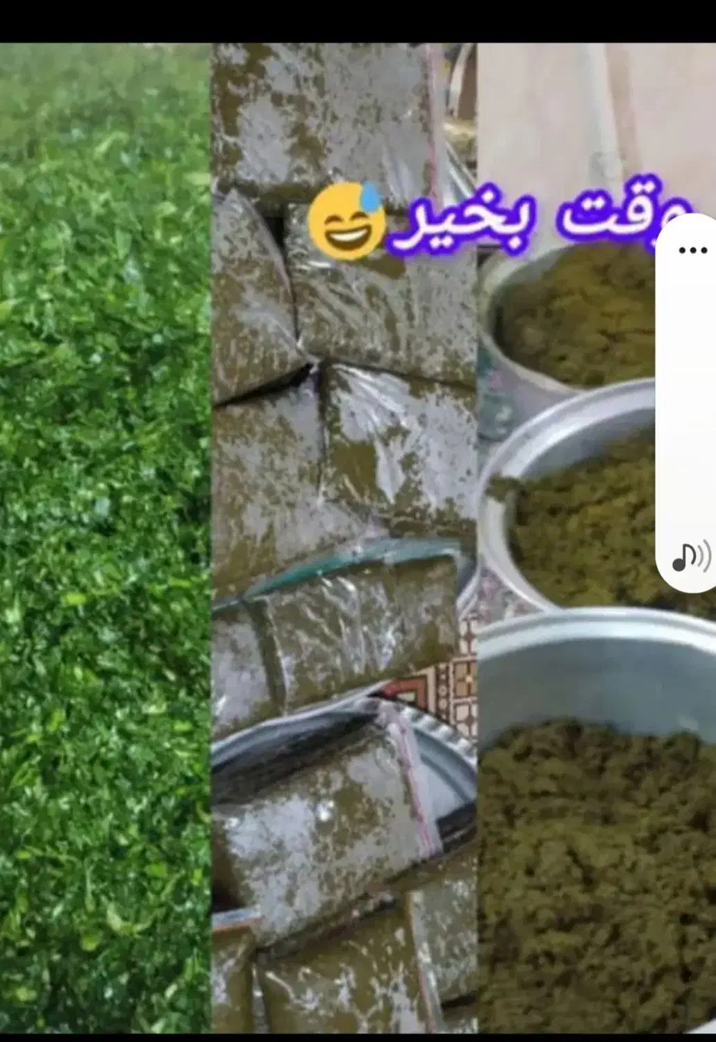 ۰۹۸۹۰۱۰۳۹۷۶۰۵|سیم‌کارت|شوشتر, |دیوار