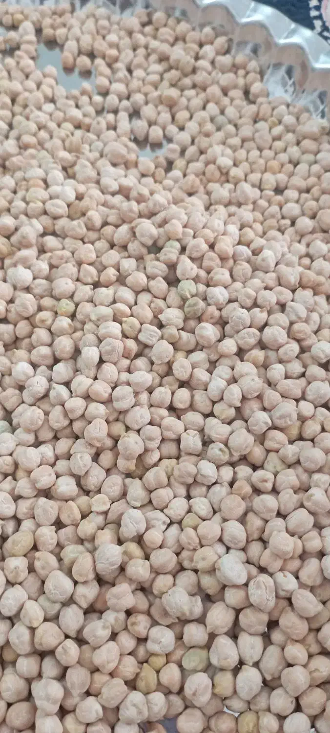 نخود درشت امسالی|خوردنی و آشامیدنی|تهران, جوادیه تهرانپارس|دیوار