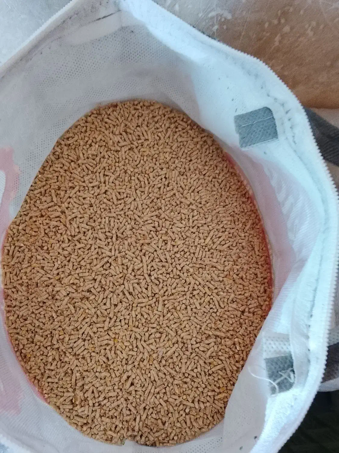 دان مرغی درجه یک شفاه دانه|لوازم جانبی حیوانات|بندر گز, |دیوار