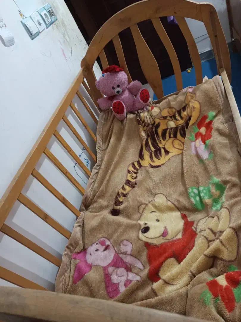 دو عدد تخت خواب|تخت و سرویس خواب|بندر گناوه, |دیوار