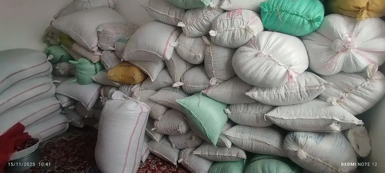 تخمه آفتاب گردان|خوردنی و آشامیدنی|گیلان غرب, |دیوار