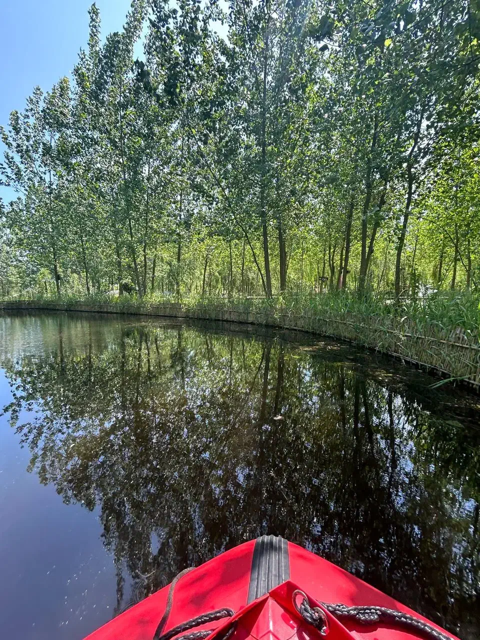 نور و چوب حرف می زنند|فروش خانه و ویلا|آق قلا, |دیوار