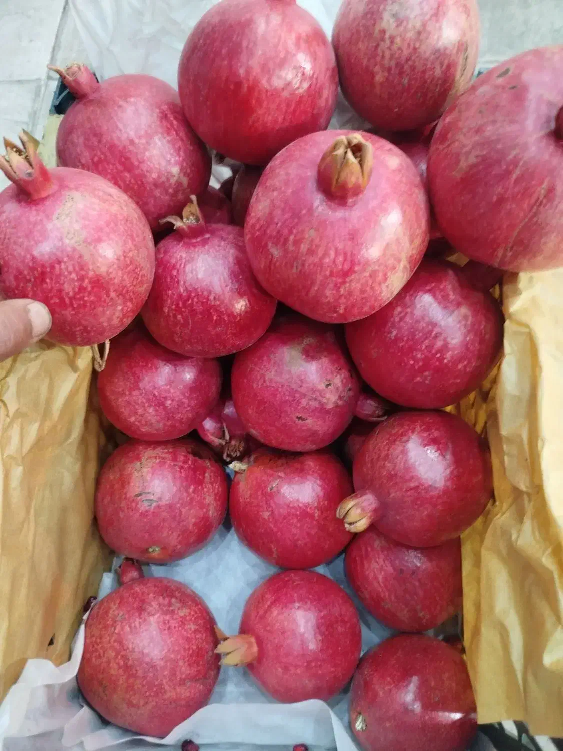 پخش مستقیم انار ممتاز شهرضا|خوردنی و آشامیدنی|اصفهان, پوریای ولی|دیوار