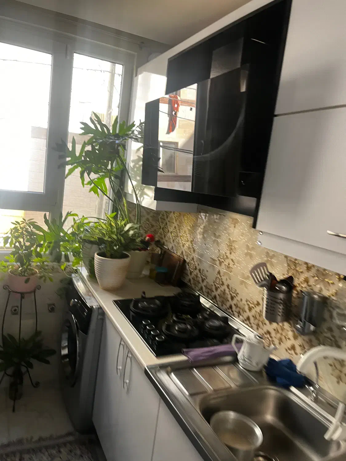 فروش اپارتمان تک واحدی ۵۲ متر|فروش آپارتمان|تهران, مطهری|دیوار