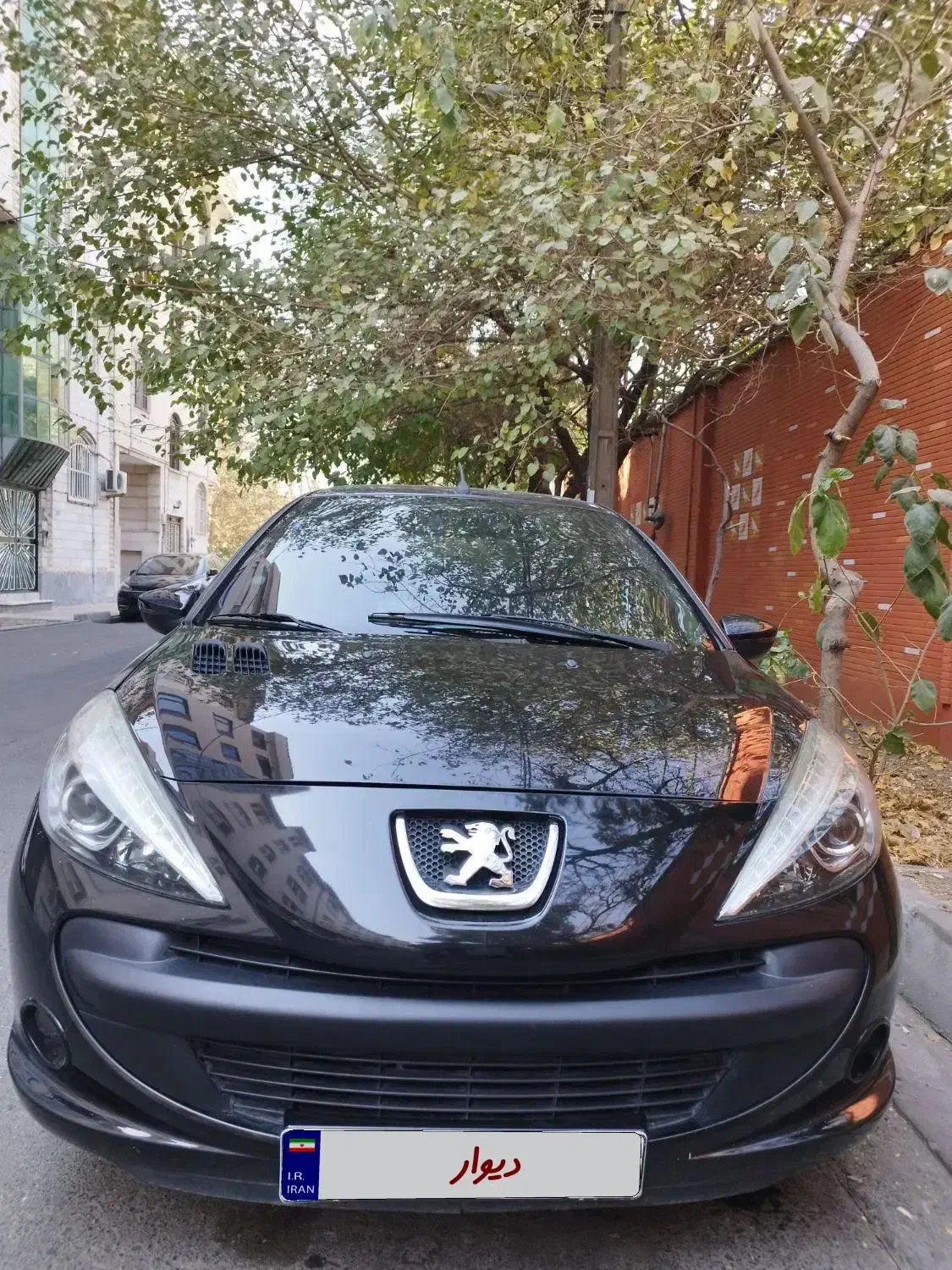 207 هیدرولیک|خودرو سواری و وانت|کرمان, |دیوار