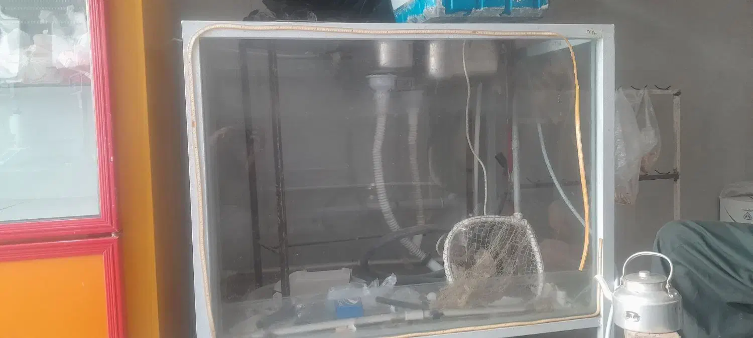 فروش آکواریوم کباب ماهی|فروشگاه و مغازه|مریوان, |دیوار