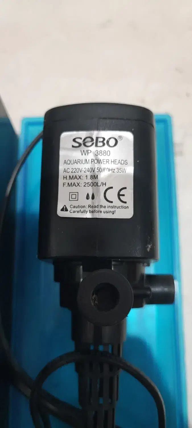 تاپ فیلتر|ماهی|شیراز, تندگویان|دیوار