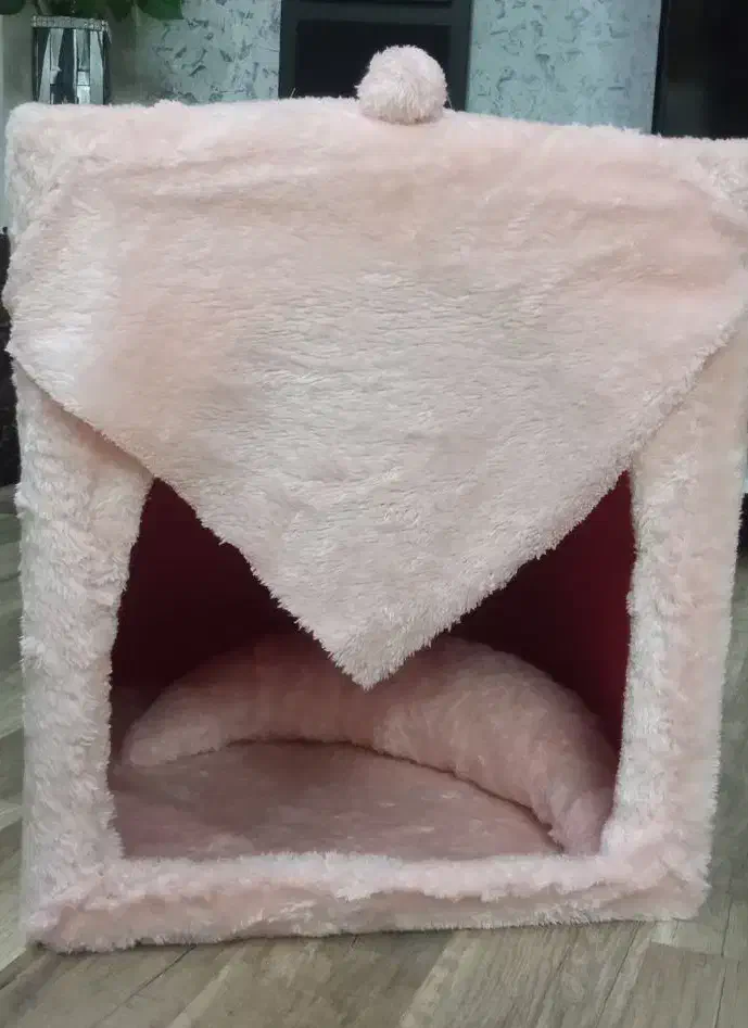 باکس خواب گربه|لوازم جانبی حیوانات|اردبیل, |دیوار