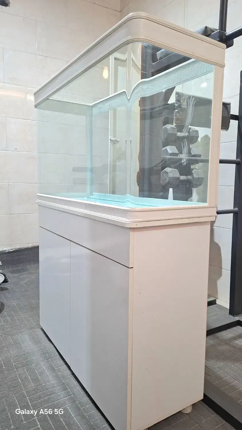 آکواریوم|ماهی|مشهد, نوده|دیوار