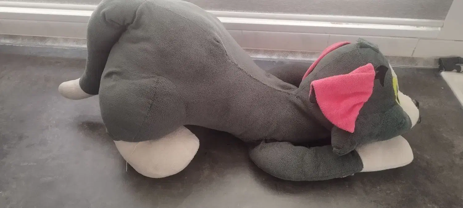 عروسک سایز بزرگ|اسباببازی|پاکدشت, پاکدشت (مامازند)|دیوار