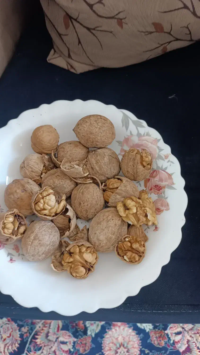 حراج گردوی ناب الشتر لرستان ...|خوردنی و آشامیدنی|قم, عمار یاسر|دیوار