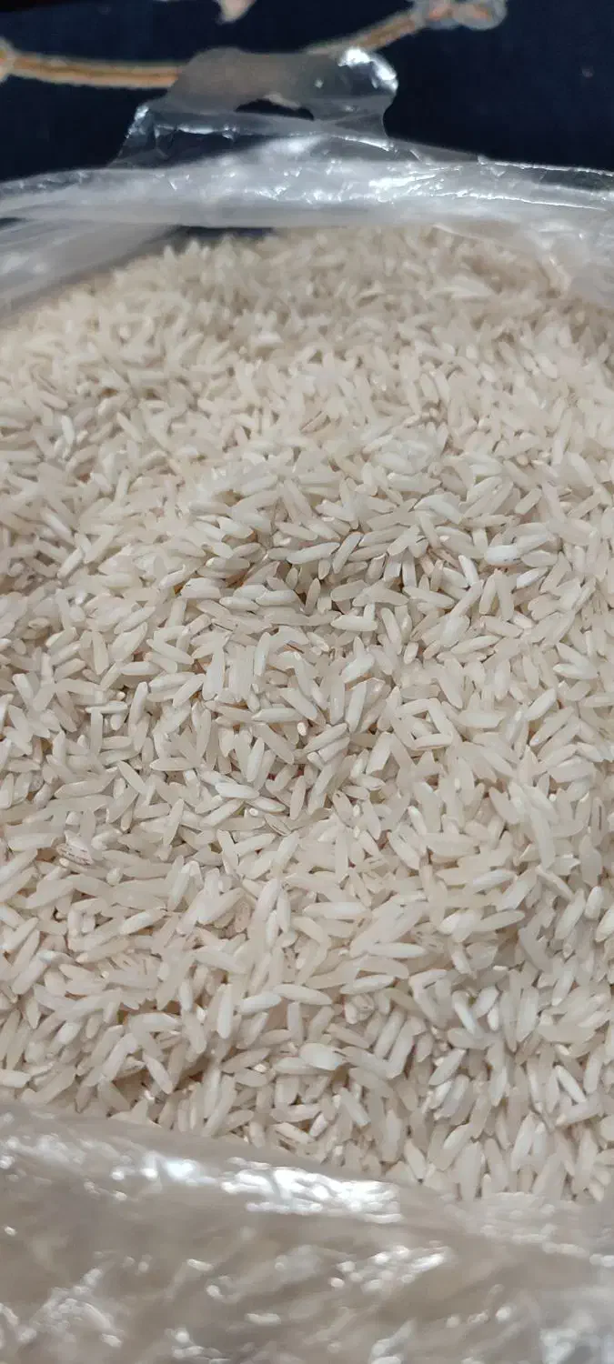 برنج طارم دشت دیره|خوردنی و آشامیدنی|گیلان غرب, |دیوار