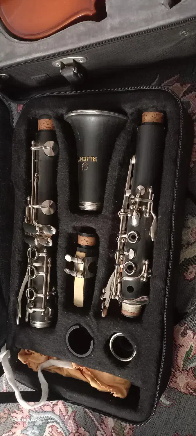 ویالون و کلارینت|ویولن|اصفهان, باغ فدک|دیوار