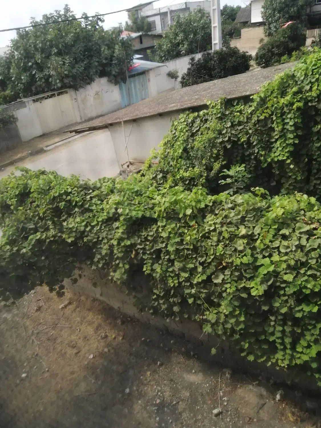 زمین خانه سرا|فروش زمین و ملک کلنگی|طبقده, |دیوار