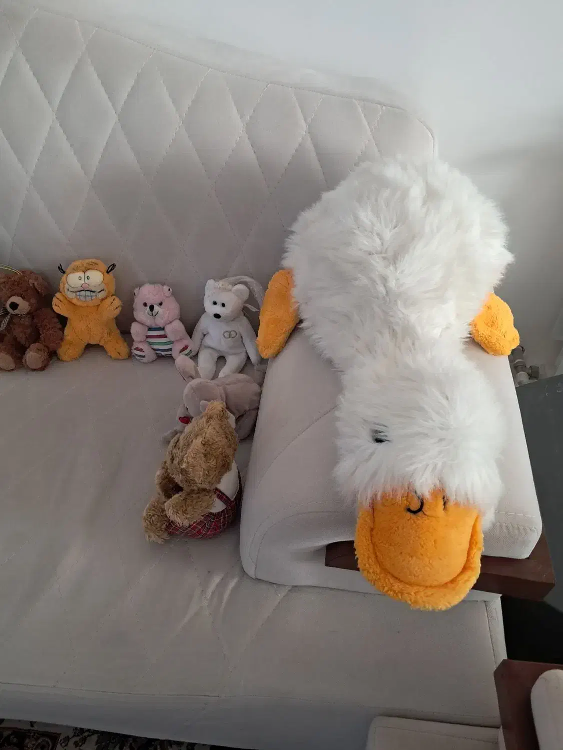 عروسک|اسباببازی بچه|گلبهار, شهر جدید گلبهار|دیوار