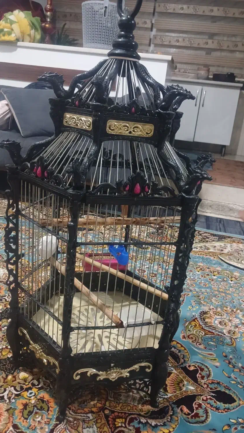 قفس بزرگ عروس هلندی وپرندهای دیگه|لوازم جانبی حیوانات|هشتگرد, قاسم آباد بزرگ|دیوار