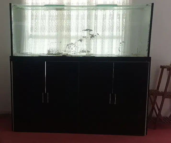 آکواریوم با کمدام دی اف|ماهی|شازند, |دیوار