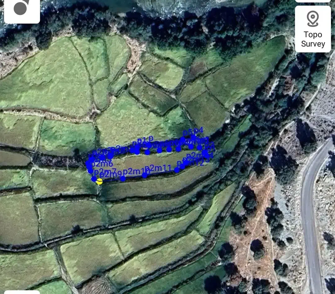 زمین برنجکاری|فروش دفتر صنعتی، کشاورزی، تجاری|چیتاب, |دیوار