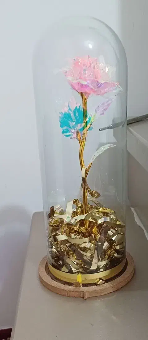 گل شیشه ی|گل مصنوعی|اردبیل, |دیوار