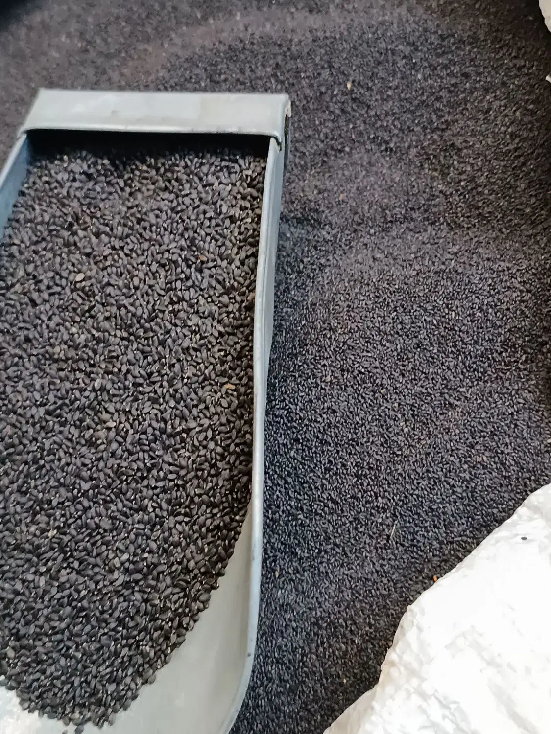 تخم شربتی اعلا|فعالیت داوطلبانه|فردیس, فردیس|دیوار