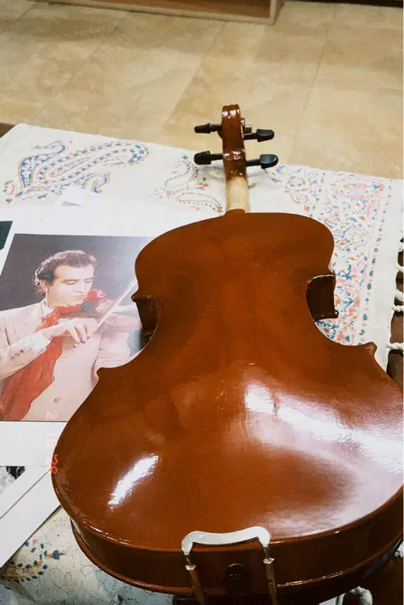 ویولن|ویولن|زنجان, |دیوار