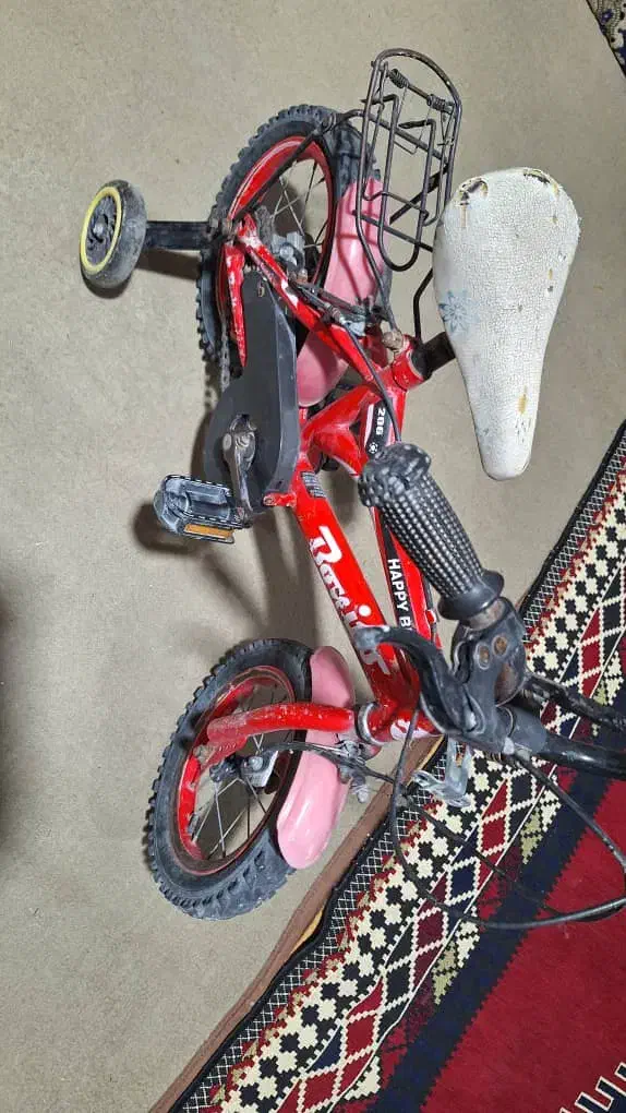 دوچرخه|دوچرخه، اسکیت، اسکوتر|چرام, |دیوار