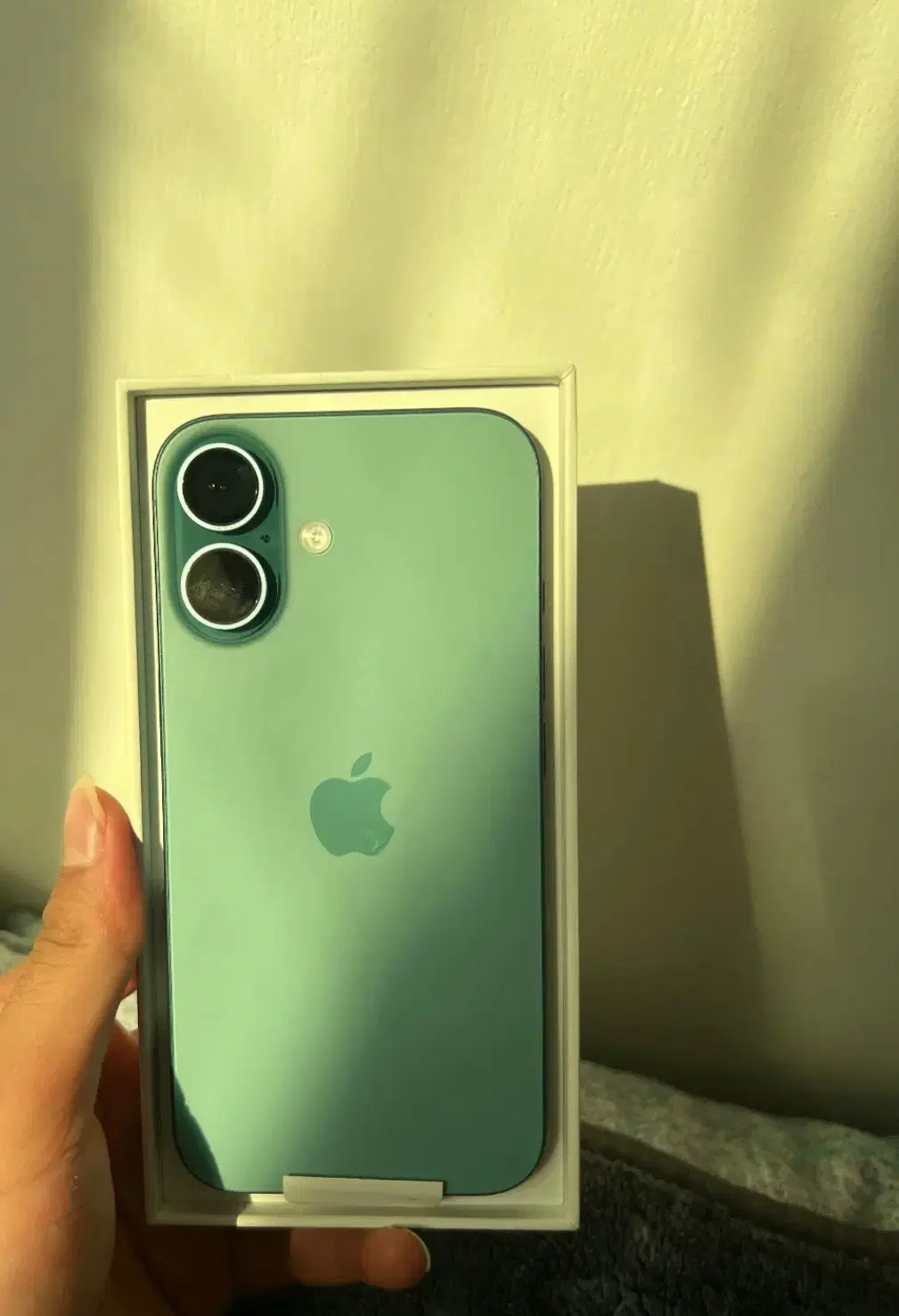 iPhone 16|موبایل|شیراز, خلدبرین|دیوار