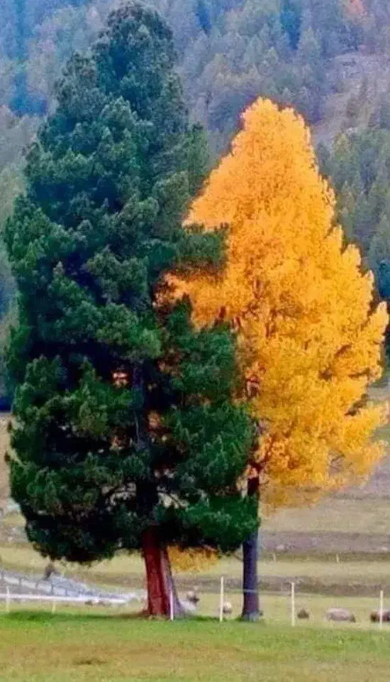 راهنمایی کنید|فعالیت داوطلبانه تحقیقاتی|قم, شهرک قدس|دیوار