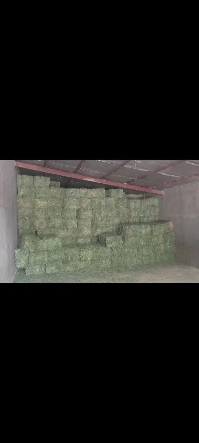 یونجه (پرس یونجه)|عمده‌فروشی|بیرانوند, |دیوار