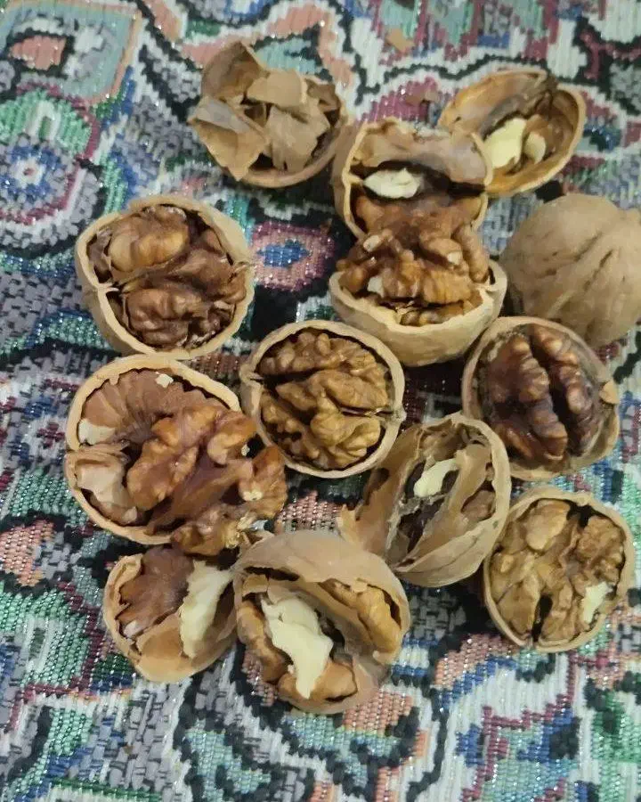 گردو کاغذی|خوردنی و آشامیدنی|مشهد, نوید|دیوار