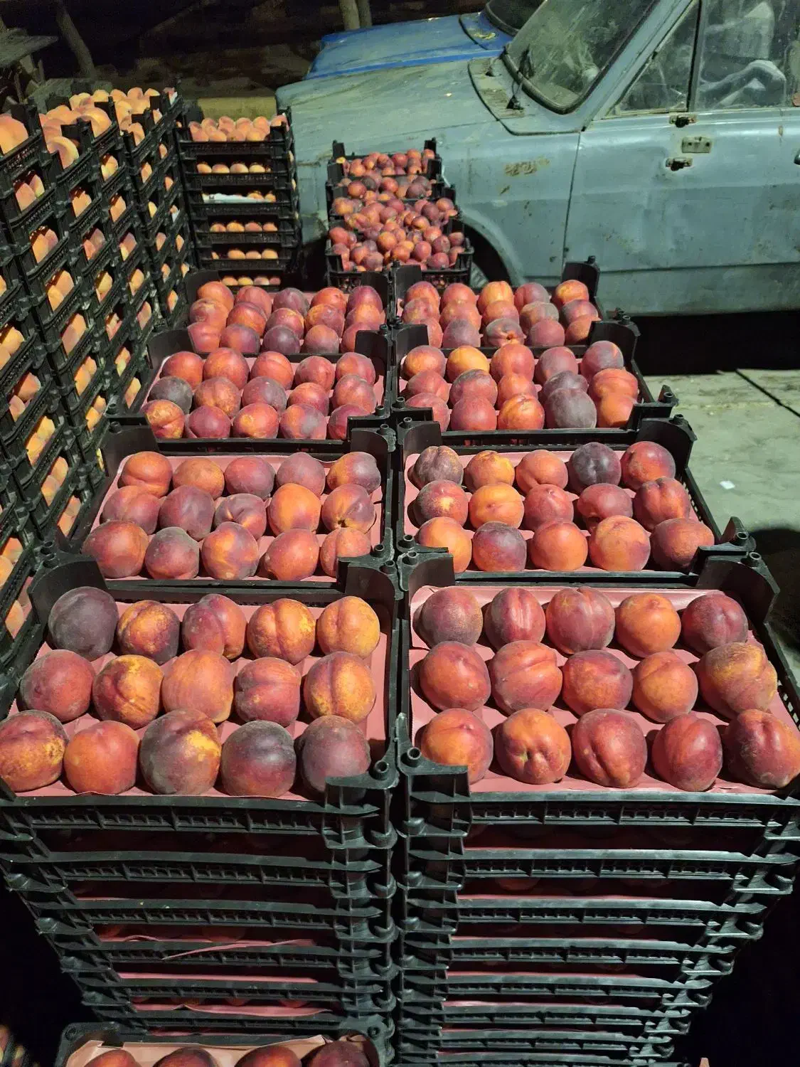 فروشکیلویی و تنی هلو|عمده‌فروشی|اصفهان, سرشبادران|دیوار