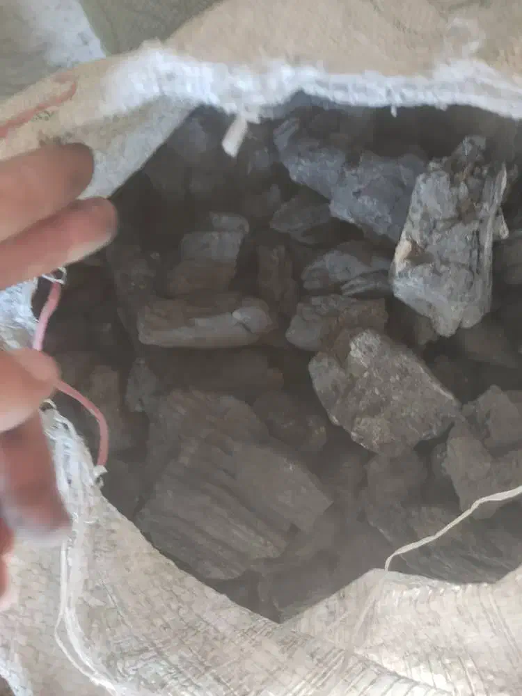 زغال فروشی|کوهنوردی و کمپینگ|رامشیر, |دیوار