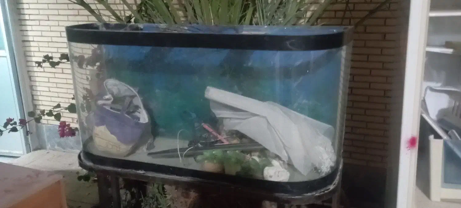 آکواریوم با وسایل کامل با پایه|ماهی|طبس, |دیوار