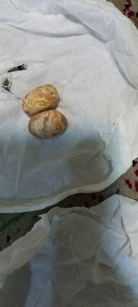 مهره اصلی موکل دار|جواهرات|کارون, |دیوار