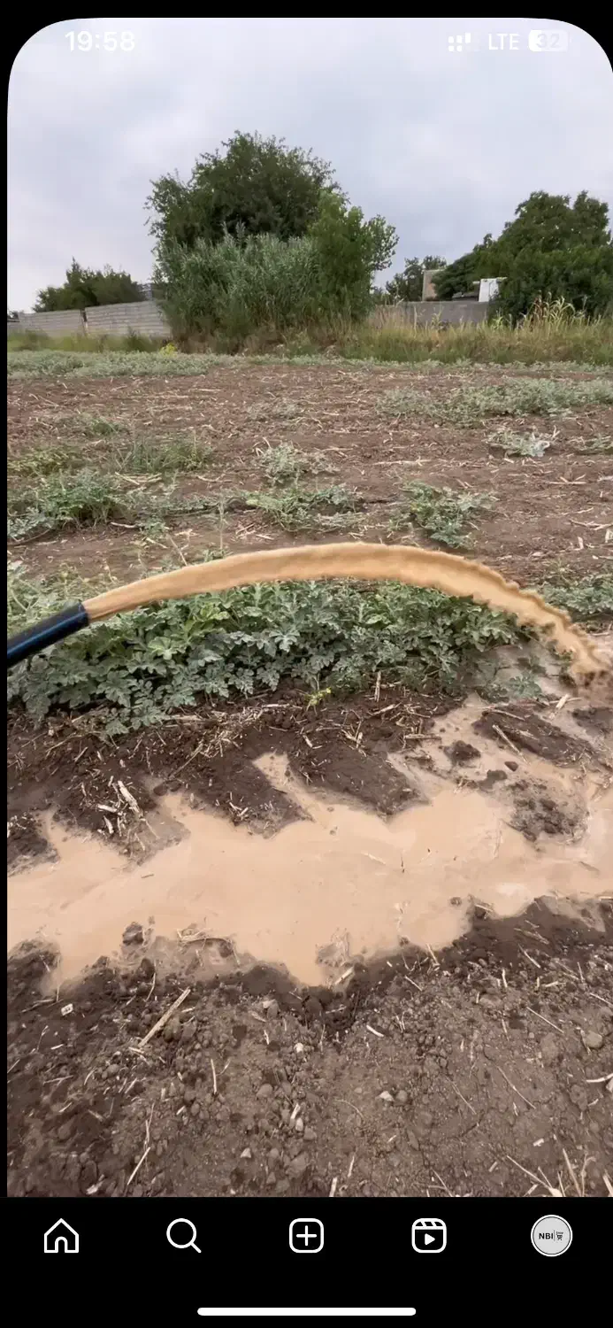 چاه مته ای|خدمات پیشه و مهارت|کلاله, |دیوار