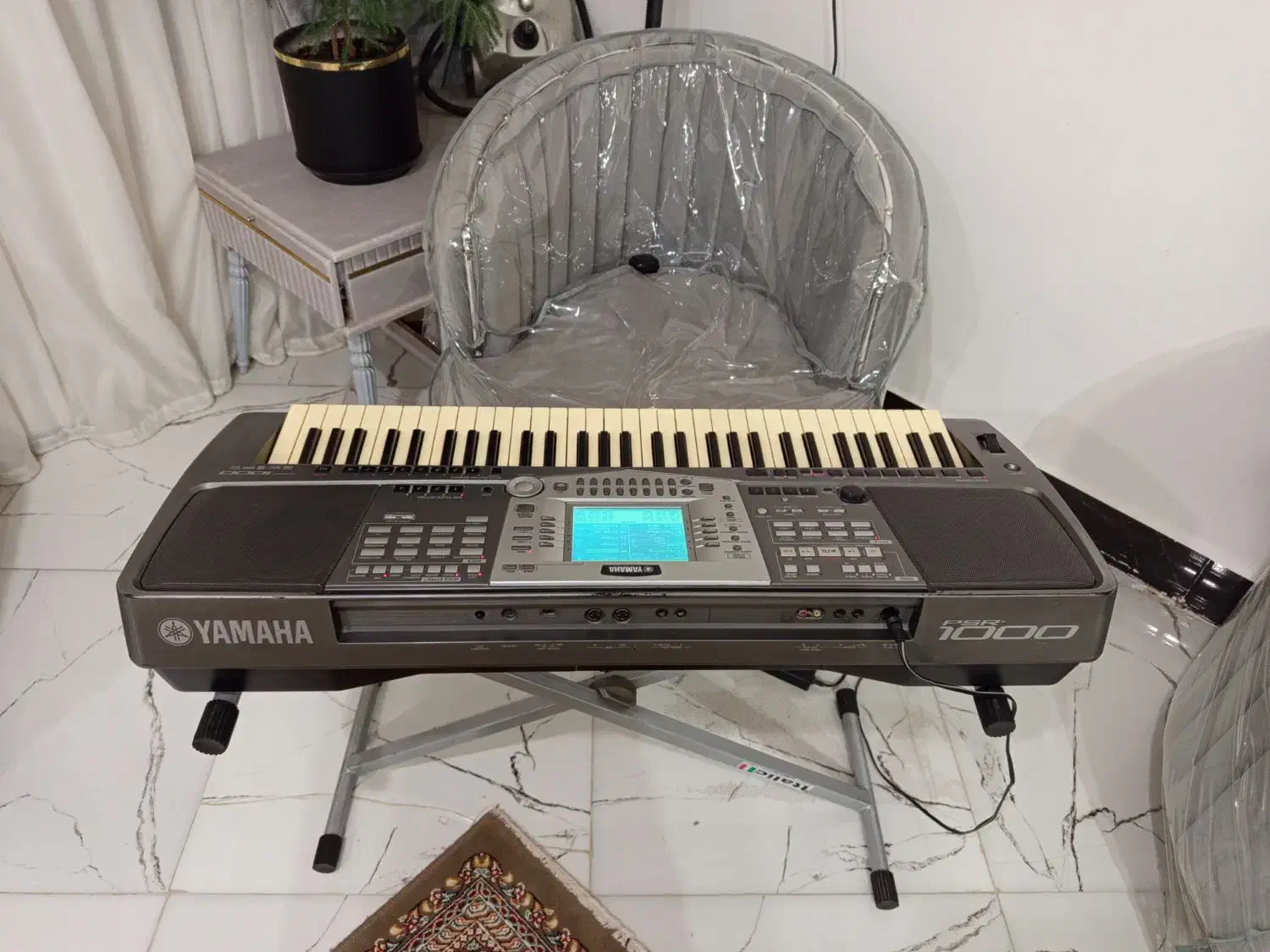 ارگ|پیانو، کیبورد، آکاردئون|تربت‌حیدریه, پائین ولایت|دیوار