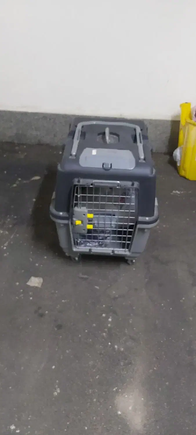 باکس حمل پت|لوازم جانبی حیوانات|تهران, شهرک آتی شهر|دیوار