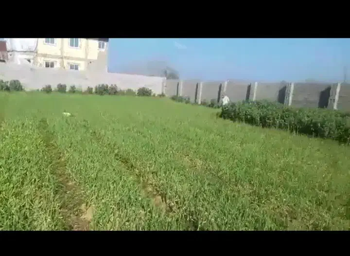 زمین مسکونی|فروش زمین و ملک کلنگی|فومن, |دیوار