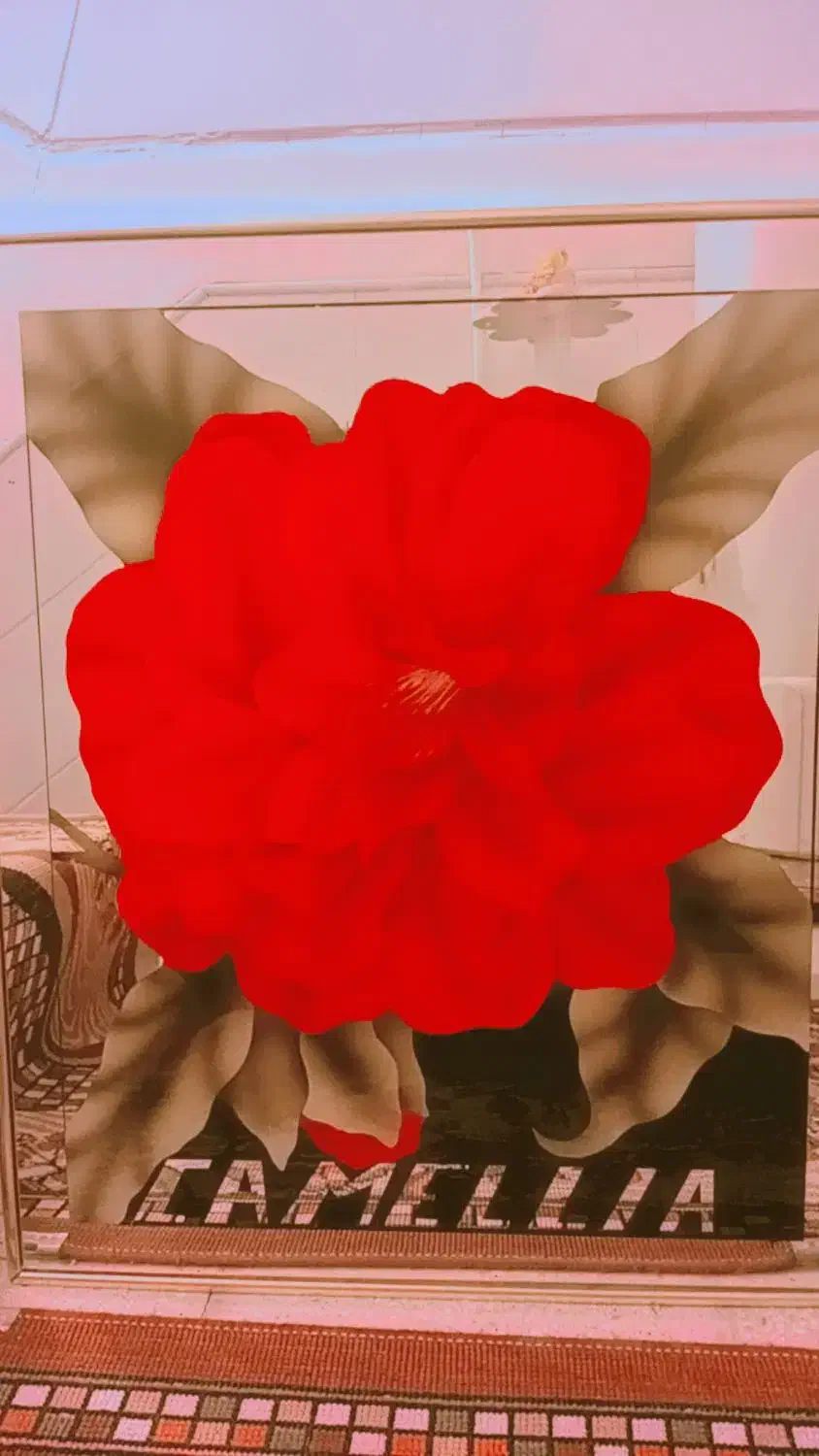 تابلو|تابلو، نقاشی، عکس|قم, نوبهار|دیوار