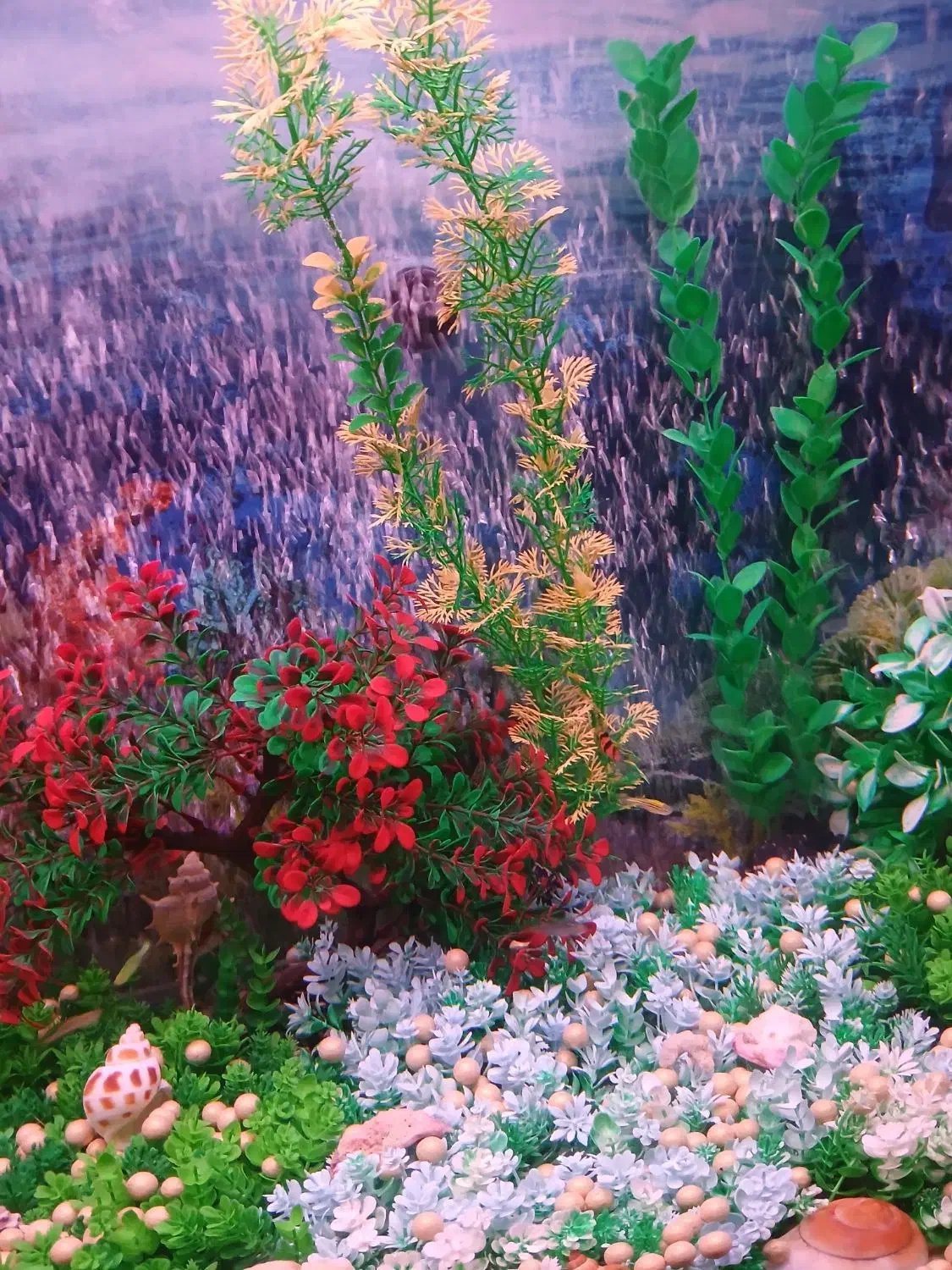 آکواریوم زیبا و با آرامش|ماهی|مشهد, چهارچشمه|دیوار