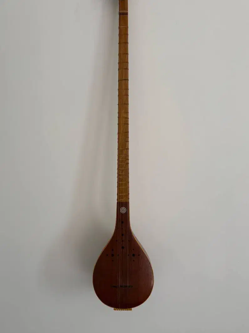 سه تار کاسه متوسط|سازهای سنتی|بابلسر, |دیوار