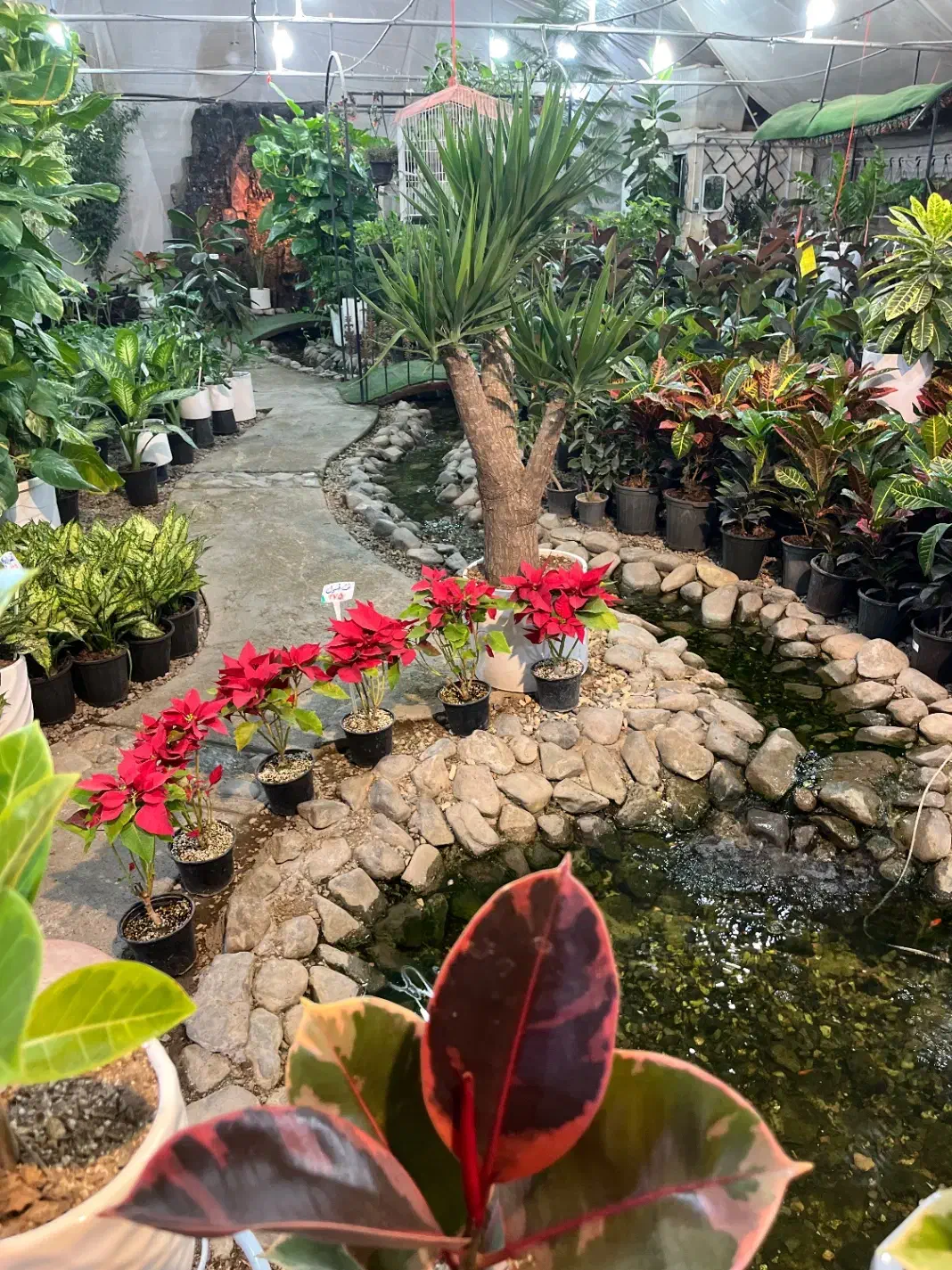 نیازمند همکار خانم جهت کار در گلستان یاس|استخدام خدمات فروشگاه و رستوران|قم, هفت تیر|دیوار