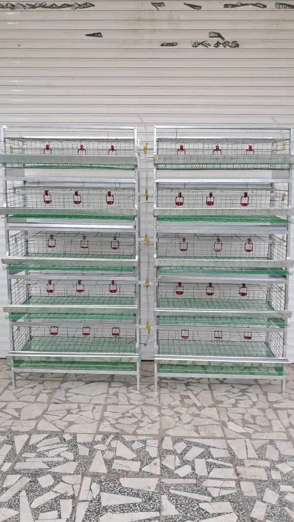 قفس بلدرچین ،قفس جوجه،ابخوری ،دانخوری|لوازم جانبی حیوانات|تنکابن, |دیوار