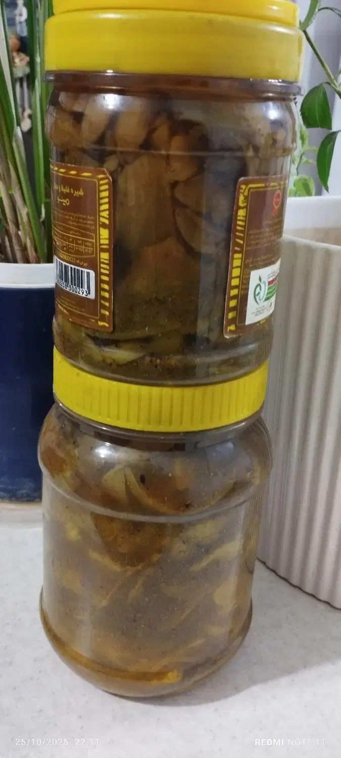 ترشی انبه خونگی|خوردنی و آشامیدنی|تهران, نیروی دریایی|دیوار